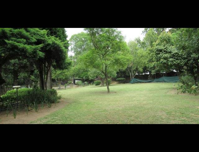 BUSINESS FOR SALE IN FERNDALE